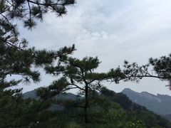 -内乡宝天曼生态旅游区