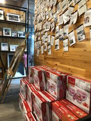 -菲林婚纱摄影工作室