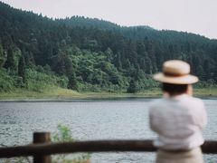 -武陵山森林公园