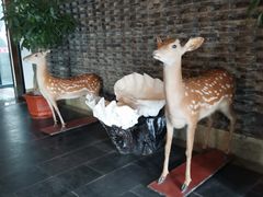 -健眺小海鲜(临海后山店)