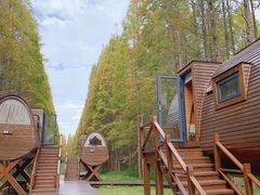 -黄海国家森林公园