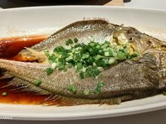 蒸黄鱼-俏江南-江景昆曲主题餐厅(正大广场店)