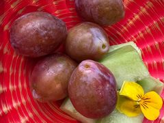 -小厨娘金榜题名(夫子庙贡院街店)