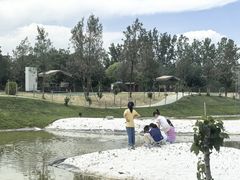-WE ME 伴山营地·城市露营·团建策划
