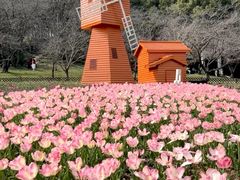 -苏州上方山国家森林公园
