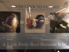 -奥兰多迪士尼动物王国乐园