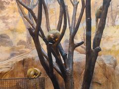 -泉城欧乐堡海洋极地世界