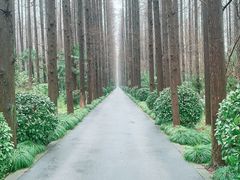 -上海怡沁园度假酒店