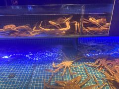 -驻海渔市(置信店)