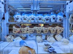 -秋叶原电器街