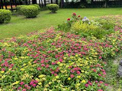 -庐山风景区花径公园