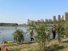 -丁香湖公园