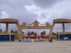 -金塔沙漠胡杨林景区