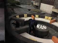 -鹭江潮餐厅•福建菜(鹭江佲家酒店)