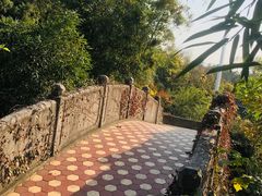 -菊花台公园