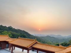 -深圳仙湖植物园