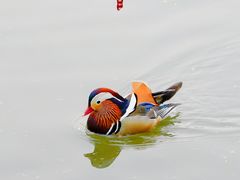 -颐和园