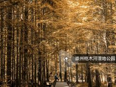 -桤木河湿地公园