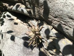 -双龙峡