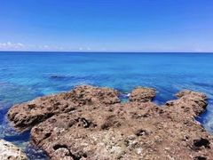 -龙坑生态保护区