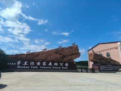 -茅兰沟国家森林公园