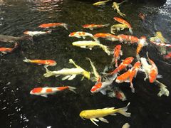 -鸿通城购物中心