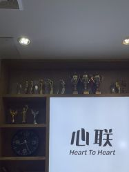 -心联形象设计·流星染
