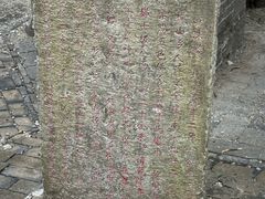 -上海佘山国家森林公园天马山园