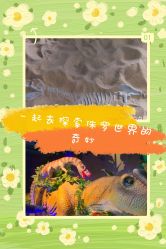 -恐龙探索乐园(磁器口店)