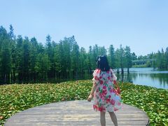 -白鹭湾湿地公园