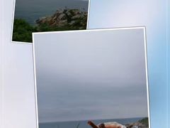 -西涌国际滨海旅游区