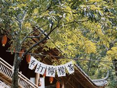 -藏龙百瀑风景区