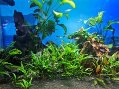 -太平洋海底世界