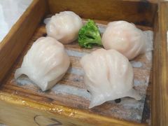 -鹅城