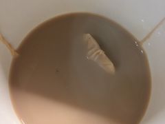 普洱奶茶-熊猫一间店欧式奶茶铺