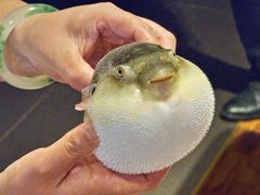 -永安鱼庄·镇江菜(东吴路店)