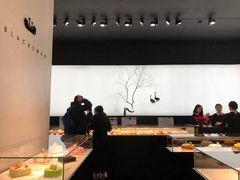 -BLACKSWAN黑天鹅(环球店)