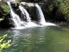 -庐山碧龙潭风景区