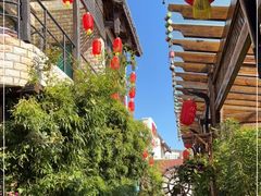 -慢丽江·云南野生菌土鸡锅(付家庄店)