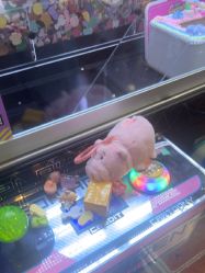 -卡通尼乐园·生日会(烟台永旺店)