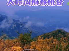 -大岭沟猕猴桃谷风景区