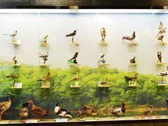 -下渚湖国家湿地公园科普馆