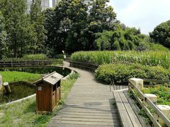 -成都市活水公园