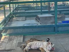 -秦皇岛野生动物园