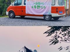 -空港花田景区