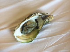 -山东八大碗山东老字号