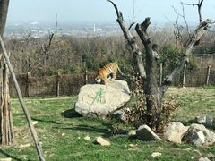 -西安秦岭野生动物园