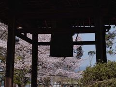 -醍醐寺