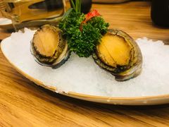 -一本钓鲔鱼屋