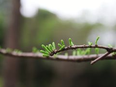 -晓港公园